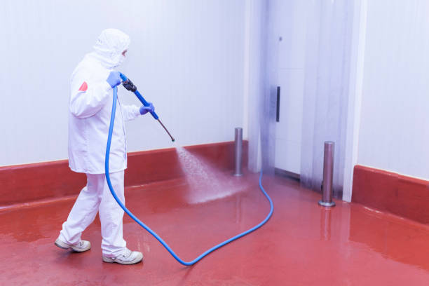 Best Window and Screen Pressure Cleaning in Darien, WI